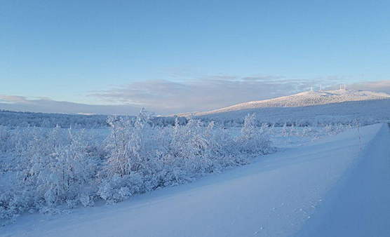Luminen maisema Lapissa 28.1.2019. Kuva: Martti Salminen